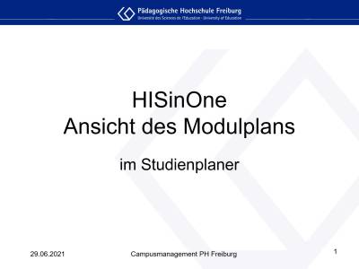 Ansicht des Modulplans im Studienplaner