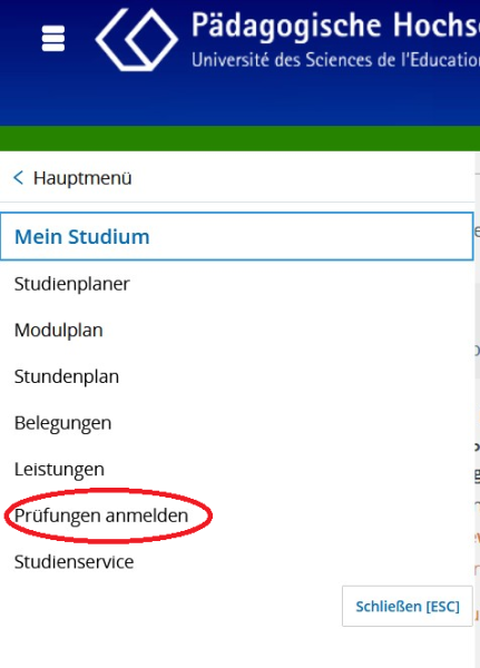 klickanleitung_mein_studium_bearbeitet.png